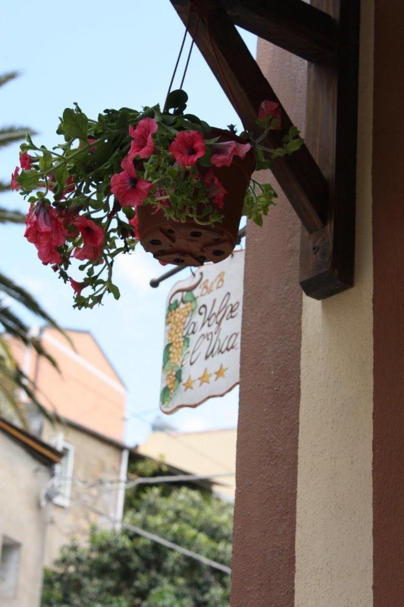 La Volpe E L'Uva B&B Пьяцца-Армерина Экстерьер фото